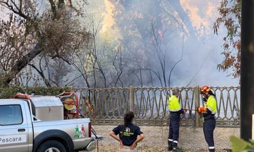 تخلیه گردشگران منطقه گرفتار آتشسوزی در ایتالیا