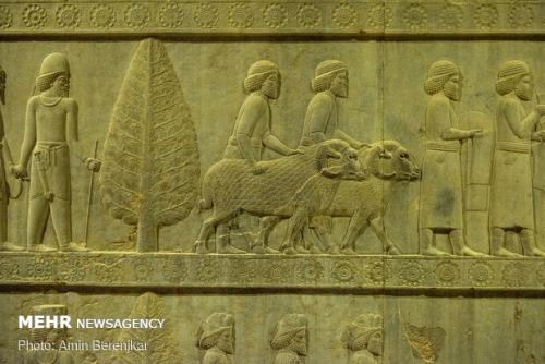 کشف قطعه ای از نسخه عیلامی کتیبه سنگی خشایارشا در تخت جمشید