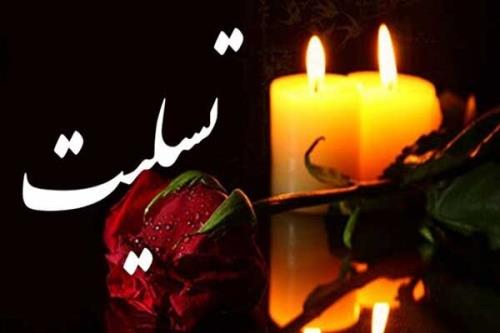 پیام تسلیت قائم مقام میراث فرهنگی برای درگذشت عبدالله امیدوار