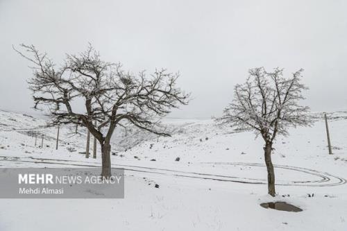 نمایشگاه عکس طبیعت در تهران