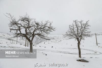 نمایشگاه عکس طبیعت در تهران