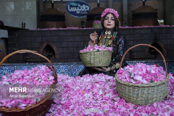 جشنواره گل و گلاب در دریاچه چیتگر برگزار می گردد