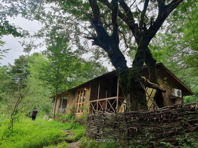 طبیعت بکر شهسوار در مقابل کاشت ویلا در جنگل