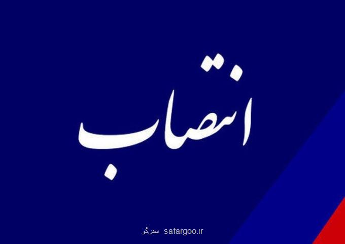 مدیرعامل جدید شرکت توسعه گردشگری ایران انتخاب شد