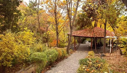 تماشای پاییز در پارک های تهران