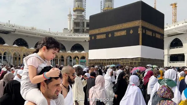 انتشار فراخوان کاروان ها برای حج تمتع 1406