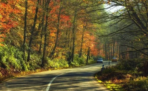پاییز را همین نزدیکی پیدا کنید