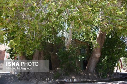 روستایی با باغ های مینیاتوری در كویر بعلاوه تصاویر