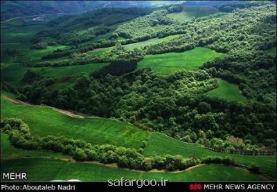 ۱۵ پهنه از جنگل های هیركانی ثبت جهانی می شود