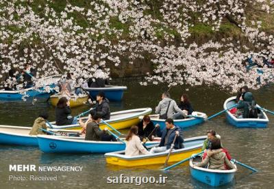 تلاش ژاپن برای ترغیب گردشگران به داشتن بیمه مسافرتی