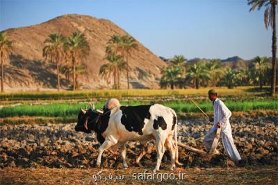 گردشگری راه نجات سیستان و بلوچستان است، صنایع دستی را برند كنید