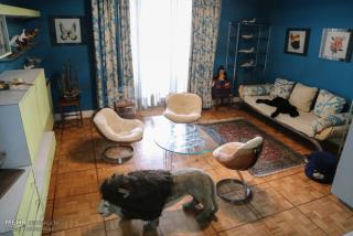 كاخ نیاوران یكشنبه تعطیلست