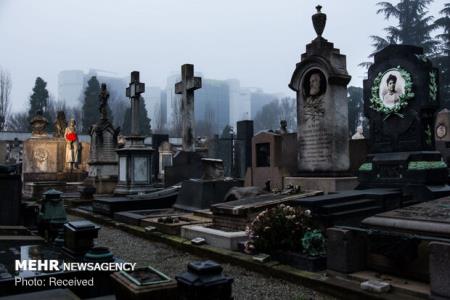 مرگ در باغ موزه قصر