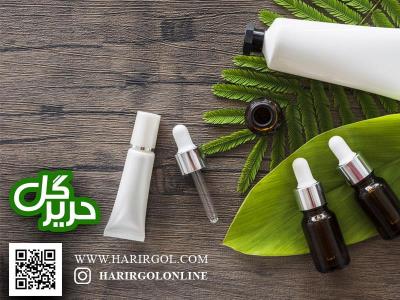 زیبا سازی منزل با گیاهان آپارتمانی