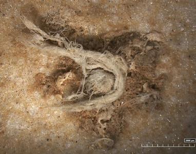 نئاندرتال ها از آنچه كه پیش تر تصور می شد باهوش تر بوده اند