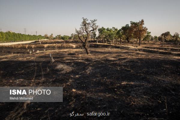 آتش به باغستان قزوین هم رحم نكرد