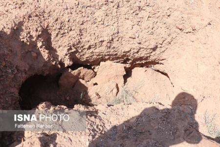 دست درازی به قبرستان های تاریخی یزد پایان ندارد