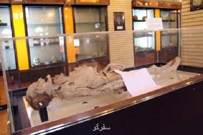جسد مومیایی شده یزد ثبت ملی شد